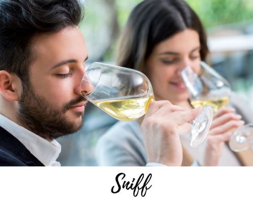 How to host a virtual wine tasting. Figure out the aromas of a wine.