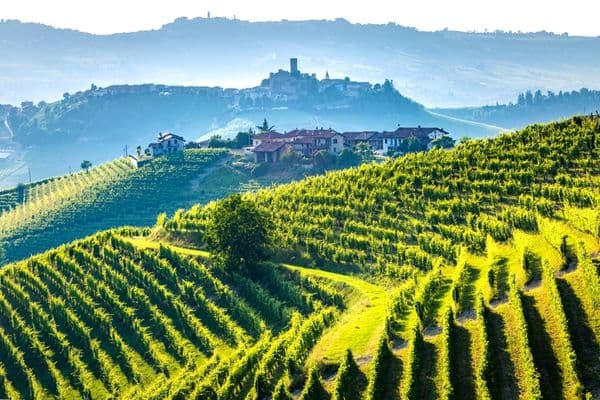 Champagne France with vineyards and town