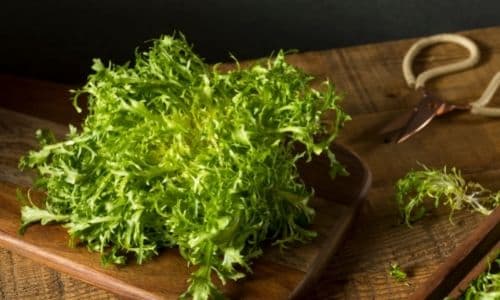 Frisee lettuce for a leafy green salad