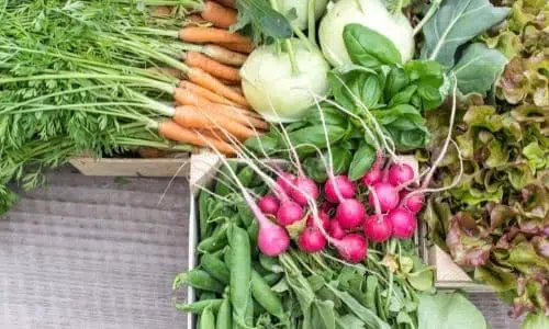 Fresh vegetables from the farmers' market