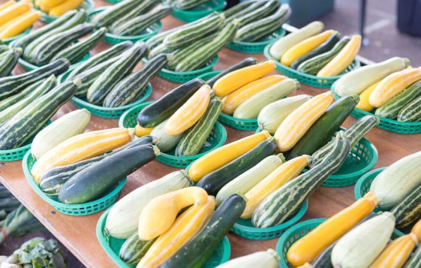 How to Cook Large Zucchini on the Grill ⋆ Lone Star Gatherings